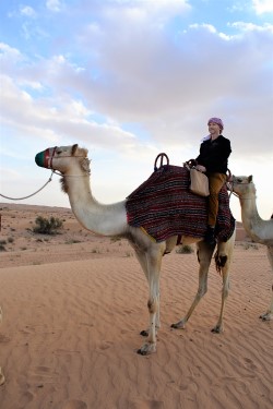 Camel Safari