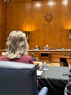 Brenda testifying 